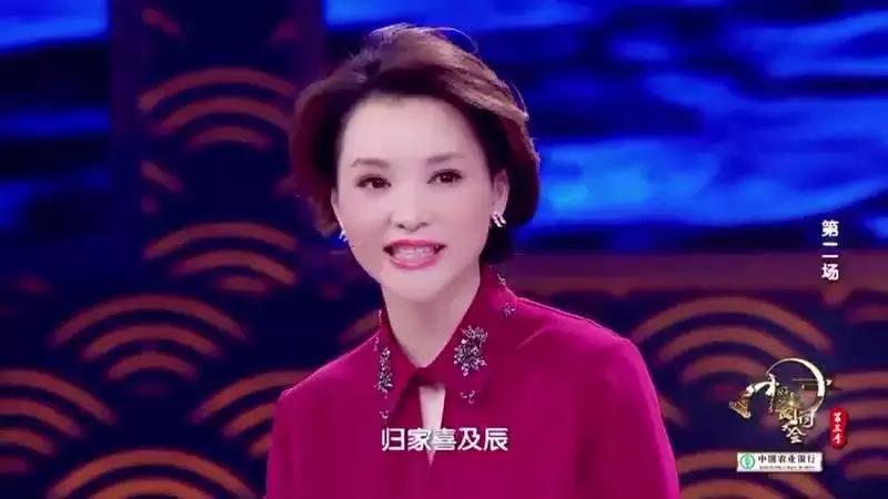 中国诗词大会董卿背诵诗句,董卿中国诗词大会经典语录合集