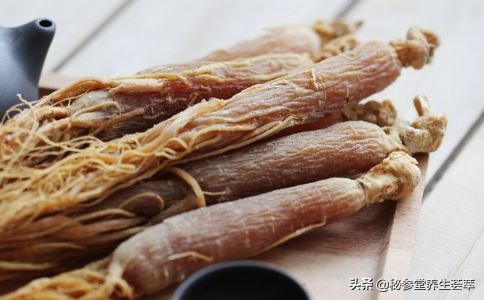 人参皂苷rh3与人参皂苷rh2作用,人参皂苷的功效与作用的说明书