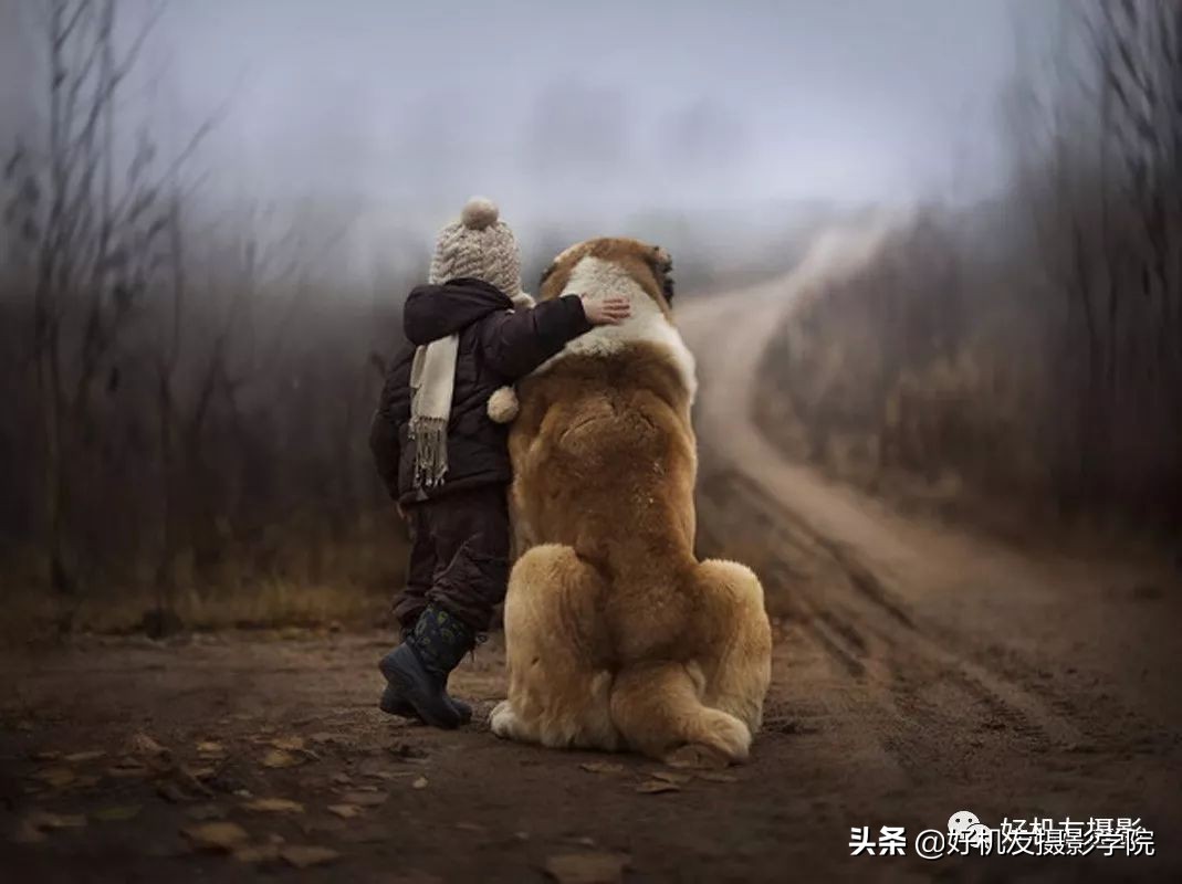 把模糊的照片变清晰最简单的方法,有什么软件能把模糊照片恢复清晰