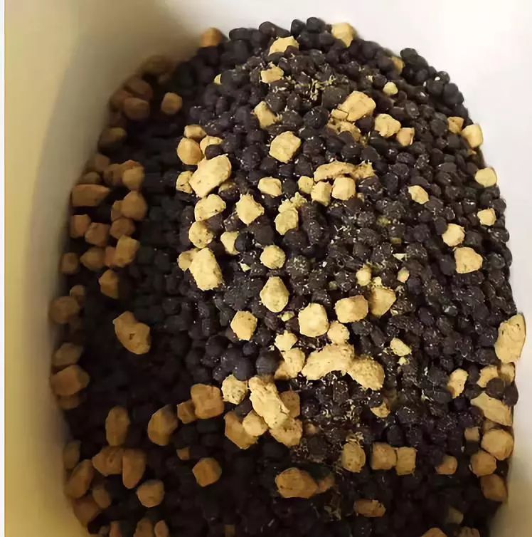 家有狗子,家有狗子视频完整版