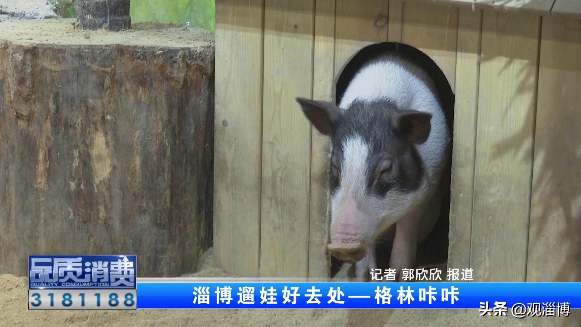 淄博动物乐园,淄博有动物的地方