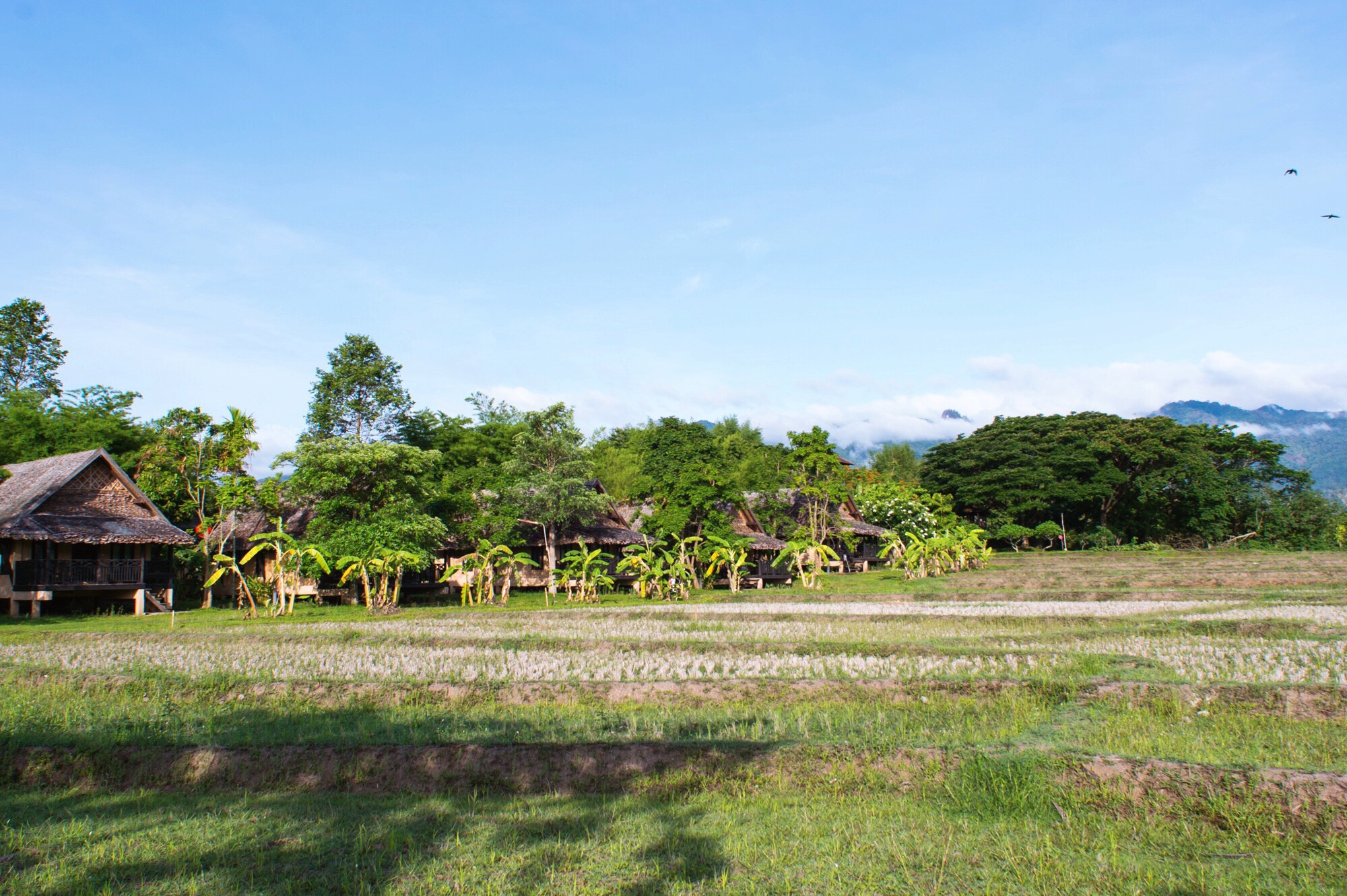 泰国拜县田园式酒店，你向往的诗和远方就藏在这里，一晚不到200