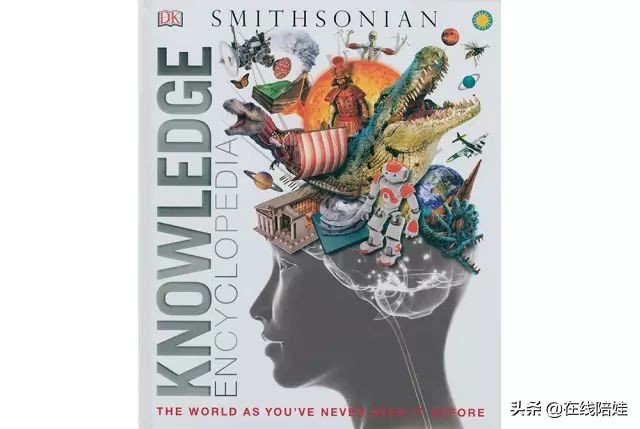 dk知识大百科全套,dk知识大百科书金银版