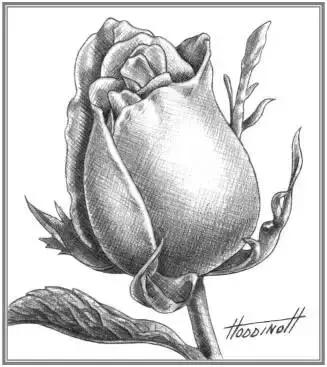 鐜懓绱犳弿鏁欑▼,绱犳弿鐜懓鐢绘硶鏁欑▼