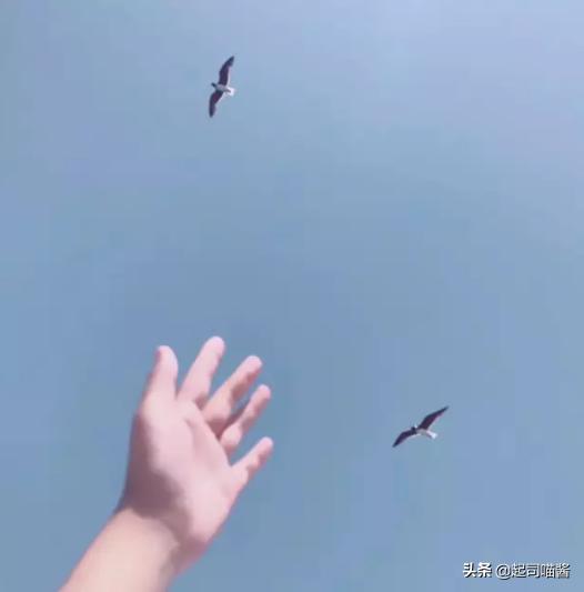 埃及旅行安全吗,埃及旅行后感悟