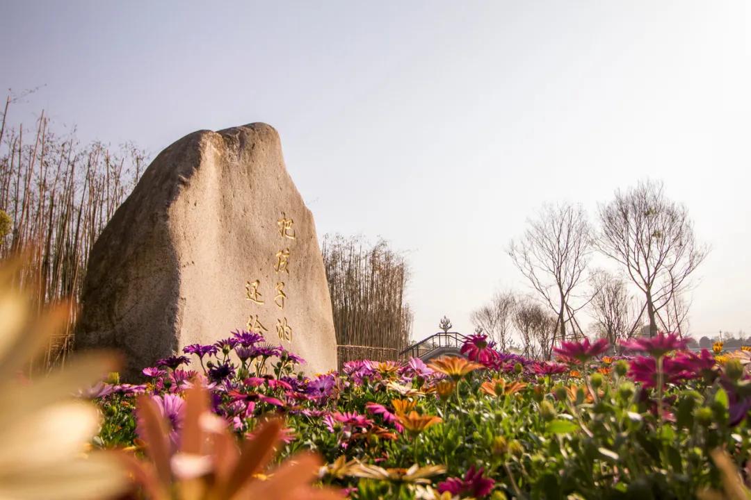 芬兰国家级团队打造,青城山下的“水墨校园”万汇国际学府牛在哪