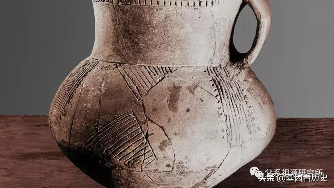 父系R1a人群系列——包括中国的楼兰人