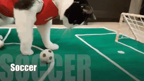 <html>
<head><title>502BadGateway</title></head>
<body>
<center><h1>502BadGateway</h1></center>
<hr><center>nginx</center>
</body>
</html>
<!--apaddingtodisableMSIEandChromefriendlyerrorpage-->
<!--apaddingtodisableMSIEandChromefriendlyerrorpage-->
<!--apaddingtodisableMSIEandChromefriendlyerrorpage-->
<!--apaddingtodisableMSIEandChromefriendlyerrorpage-->
<!--apaddingtodisableMSIEandChromefriendlyerrorpage-->
<!--apaddingtodisableMSIEandChromefriendlyerrorpage-->
