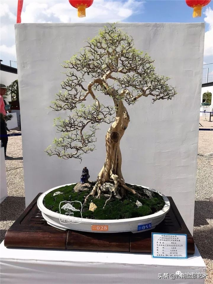 骞哥涔呬箙鐢滅敎铚滆湝,骞哥涔呬箙