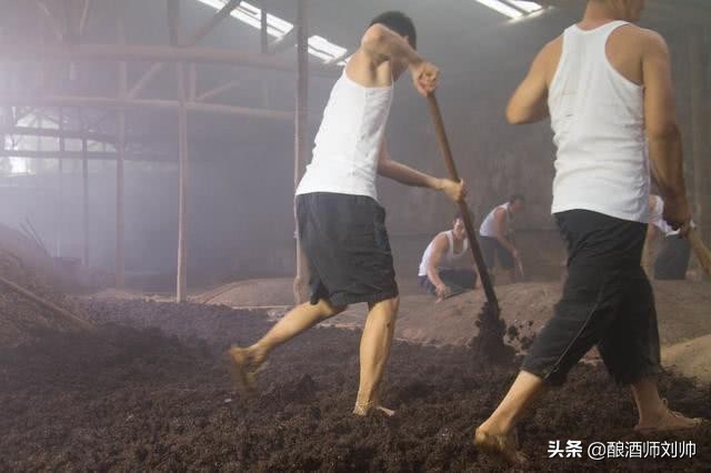 白酒常见邪杂味的产生原因以及防控措施--苦味篇