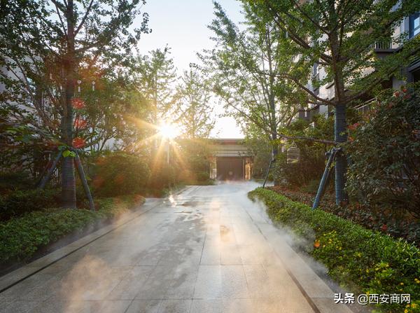 碧桂园“浐灞双星”闪耀||于城市浮尘中筑一处世外桃源