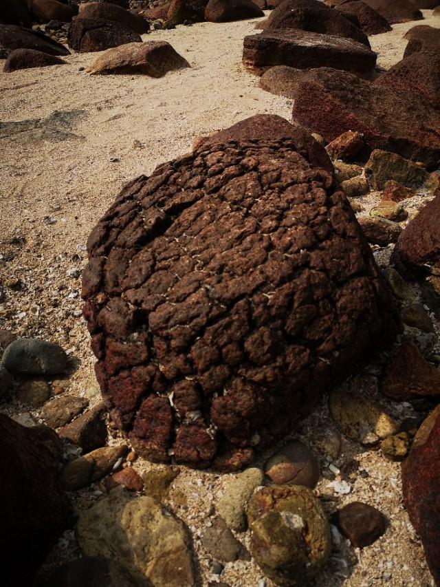 香港西贡游记下,香港最后一天去哪玩好