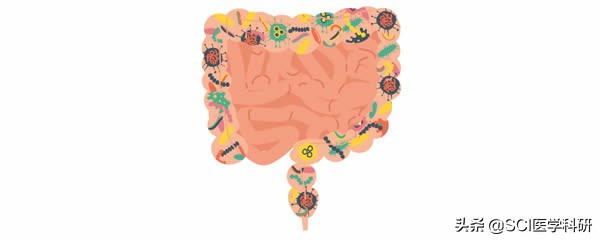 粪便移植能治什么病,粪便移植可以治疗便秘么