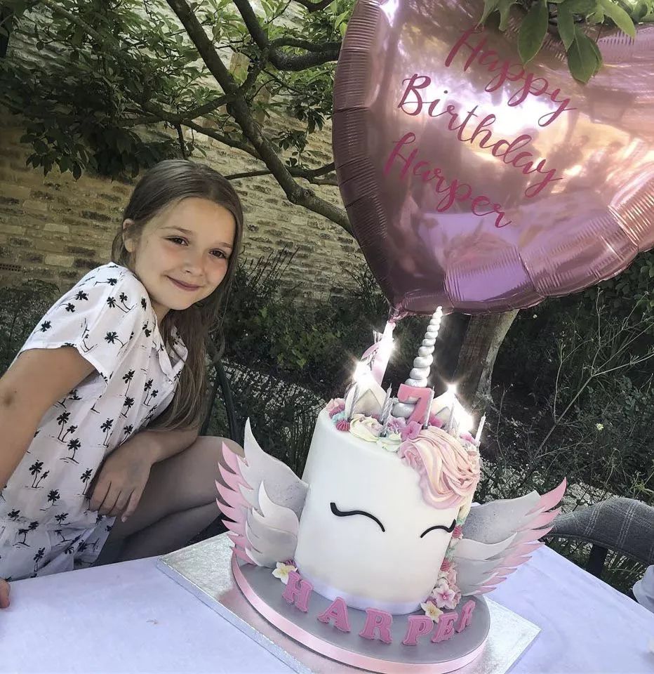 小七在学校里过生日,小七去贵族学校上学