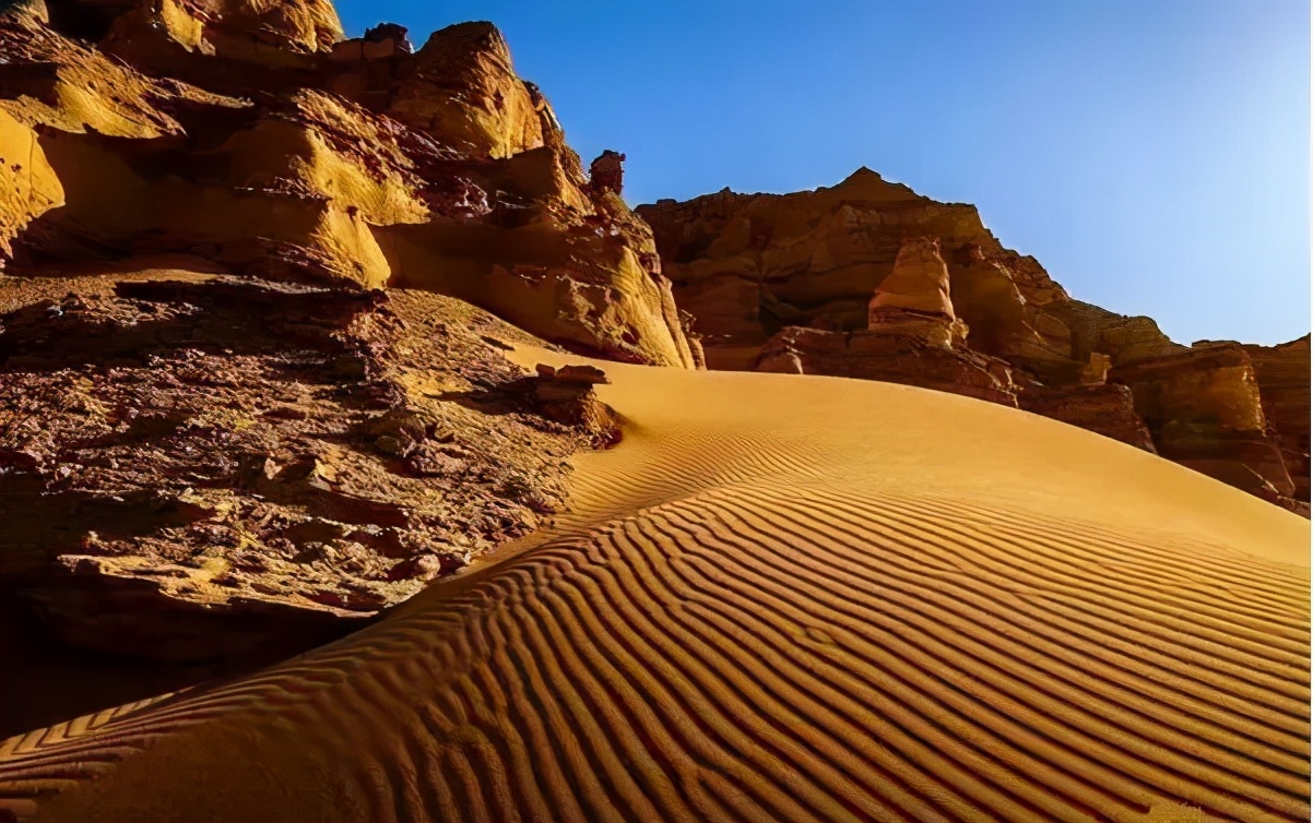 起步价5位数，究竟是什么样的石头，让那么多人冒死去捡