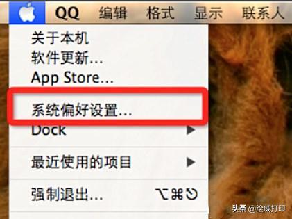 苹果打印机怎么共享网络,苹果系统连局域网打印机无法打印