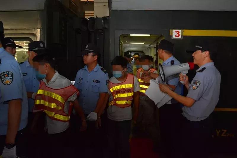 虫草姑娘卖茶女骗局,虫草姑娘卖茶被骗