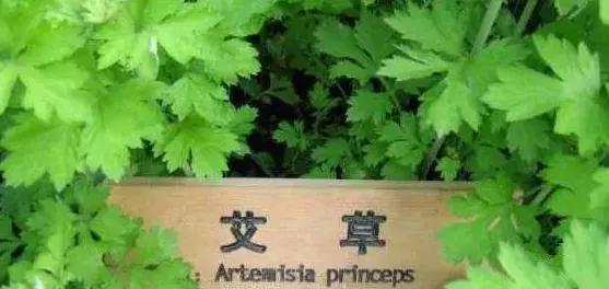 冬天泡脚有讲究这样泡暖和又养生,秋冬季泡脚的正确打开方式