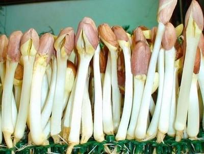 省钱技能有哪些,省钱却有用的技能