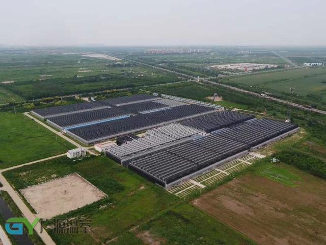 湖南薄膜连栋温室大棚造价,实惠的薄膜温室大棚建设