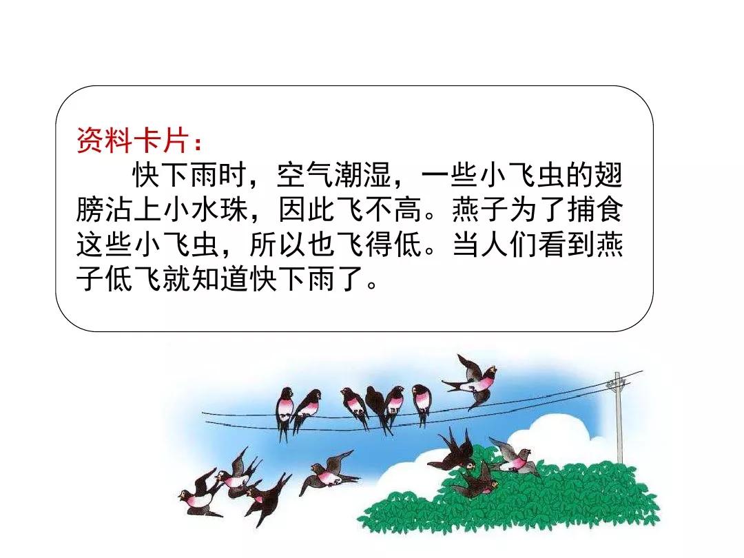 一年级下册14课要下雨了教材分析,部编版一年级下册14要下雨了教案