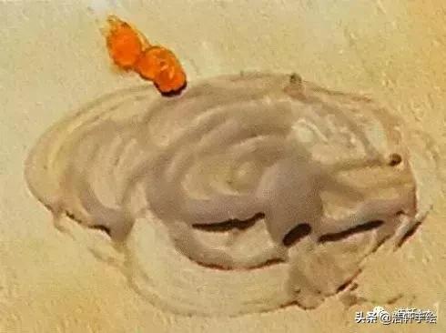 干货油画的入门技法,白羽平油画风景技法