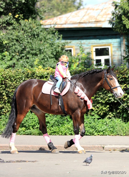 不同国家孩子的照片,十个国家最美的小孩图片