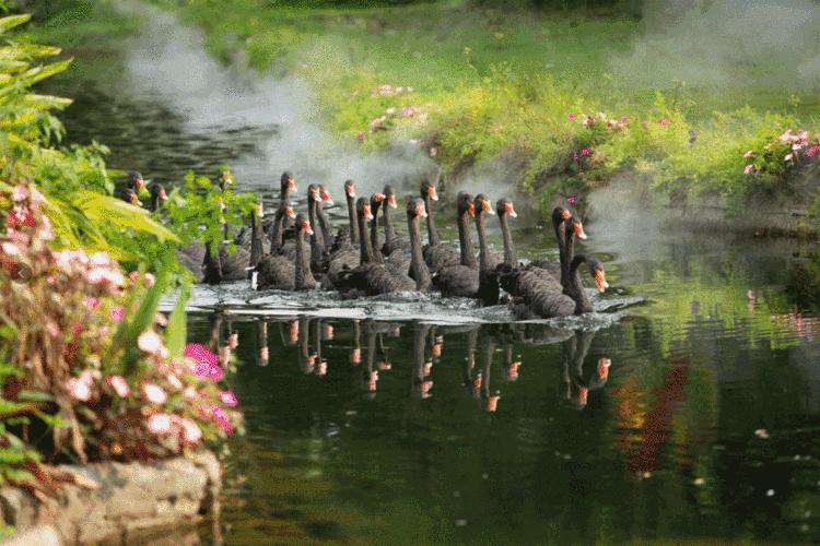 广州周边游一日游刺激,广州周边特价游