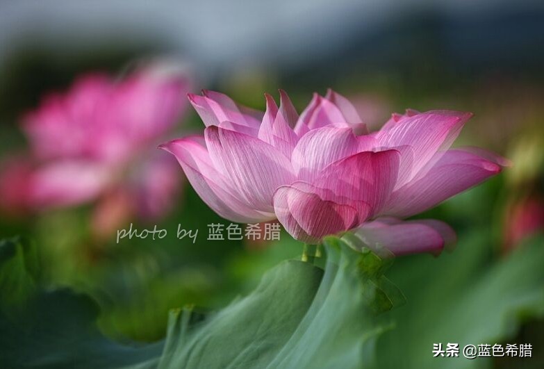 佳能5d370-200人像拍摄参数,佳能5d3拍出的照片带着详细参数