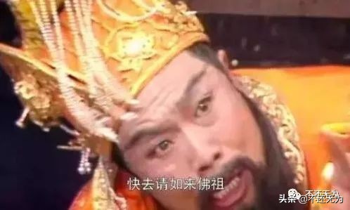 养宠物猴子,养宠物为什么不能养猴子