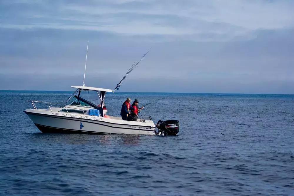 温哥华,超出你期待的钓鱼圣地