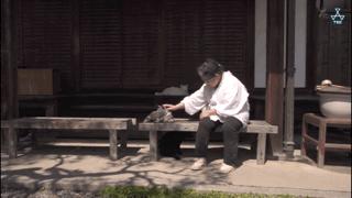 大家都在争抢猫爪杯？吸猫的最高境界，带着摄影机“猫步走天下”