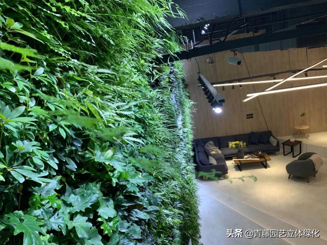 植物墙软装装饰设计,软装墙和植物墙怎么融合