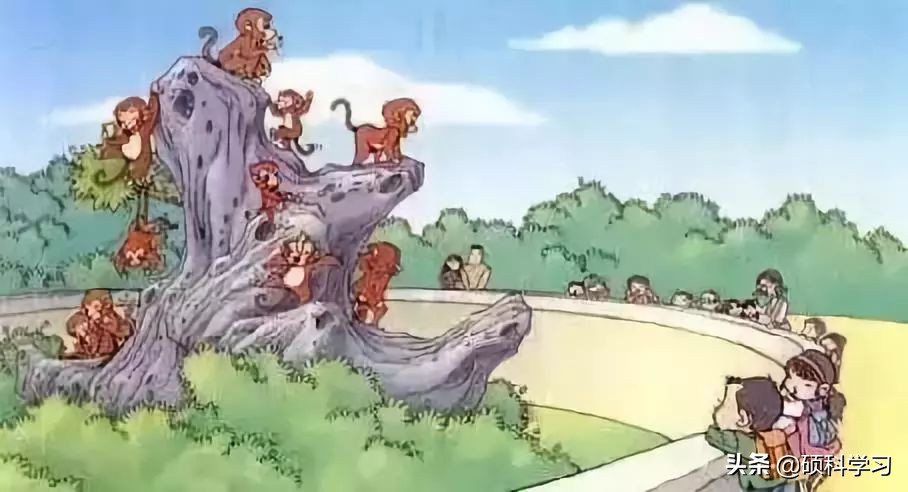 一二年级看图写话训练教程视频,一二年级看图写话训练教程