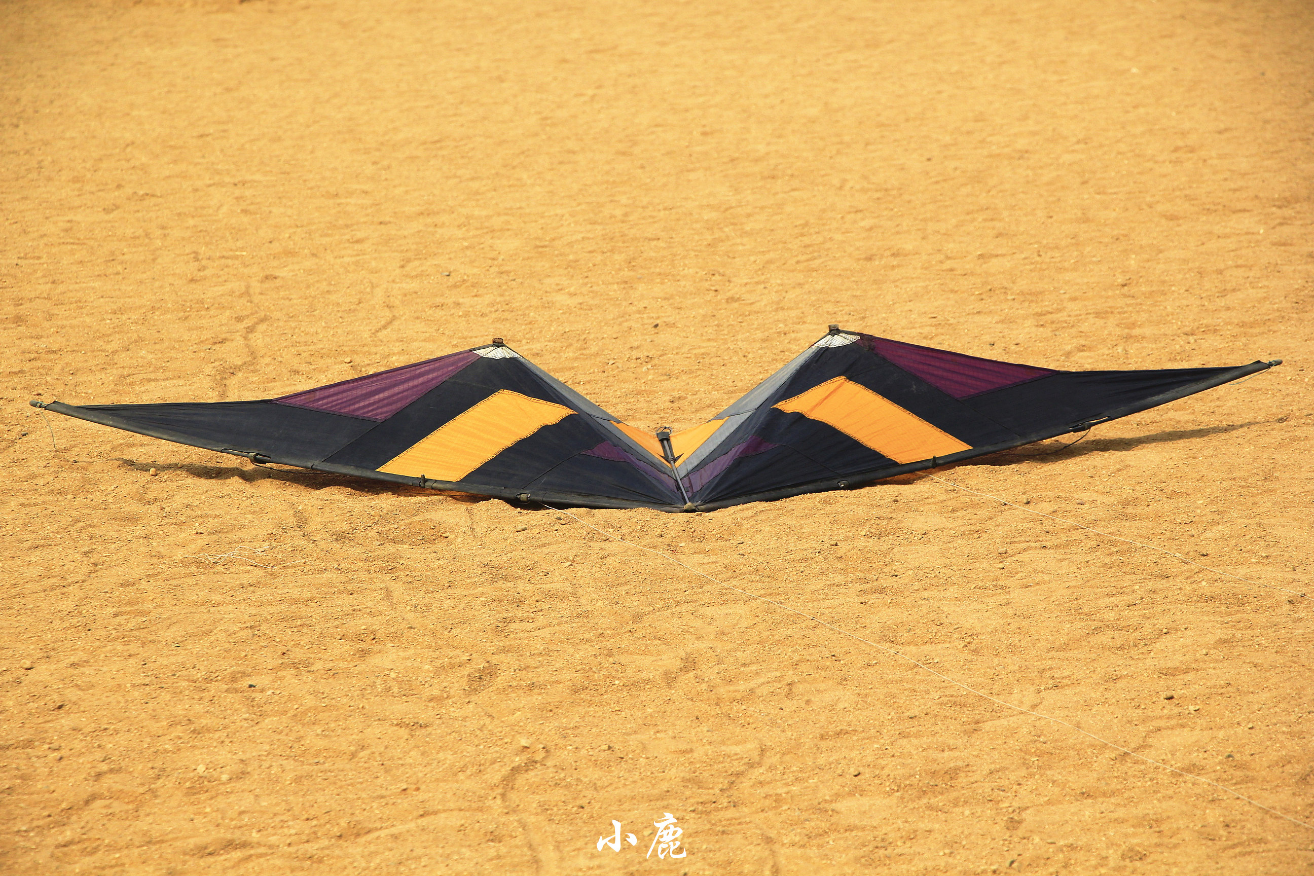 河南看海的地方旅游景点,河南看海旅游景点推荐