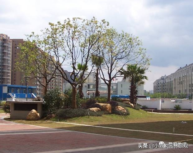 住宅小区植物配置方案,植物种植小技巧一览表图