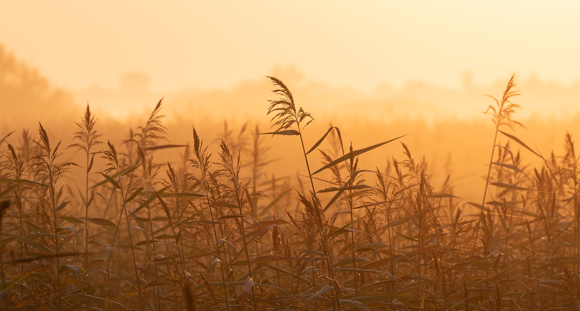 江苏卷高考文言文,2018江苏卷高考语文文言文