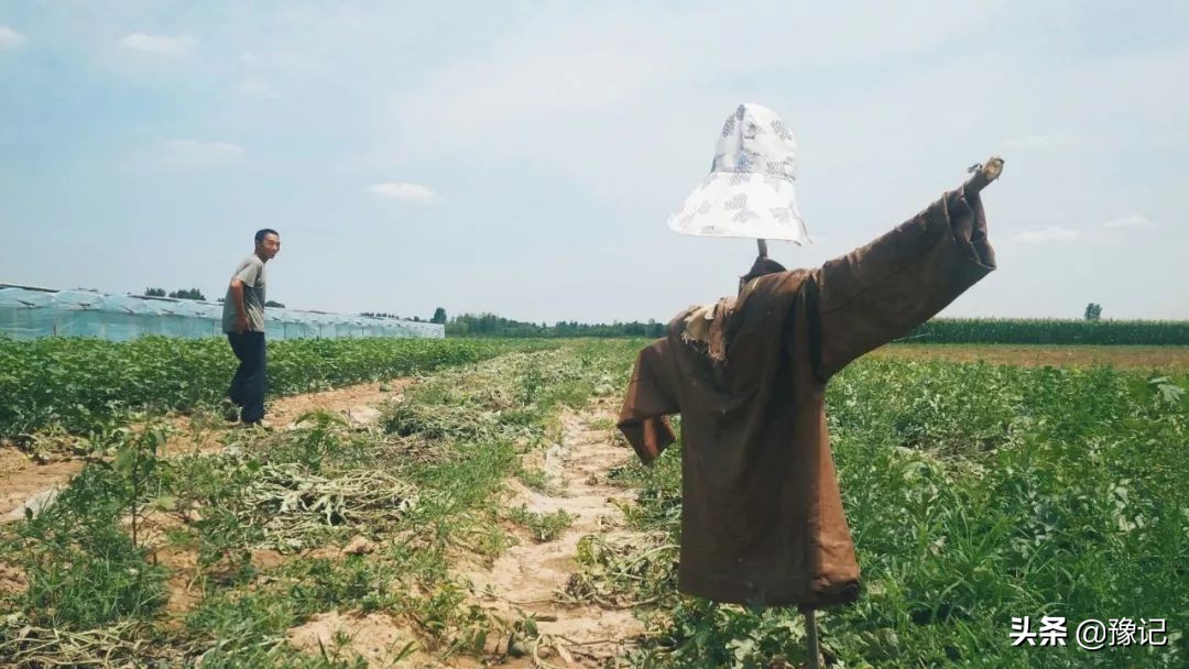 空调西瓜wifi,西瓜空调wifi