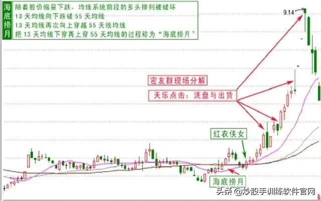 像乌龟一样趴着炒股,像麻雀一样的股票