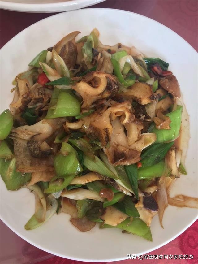 绉︾殗宀涙梾娓稿彲浠ュ嚭娴锋崟楸肩殑鍦版柟 (绉︾殗宀涚墽娴疯繙鑸啘瀹堕櫌)