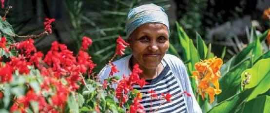 目不识丁饱学之士,目不识丁却成一代明君