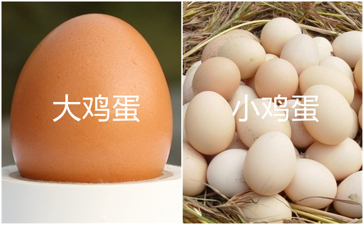 买鸡蛋挑白壳还是红壳,买红壳鸡蛋还是白壳鸡蛋好