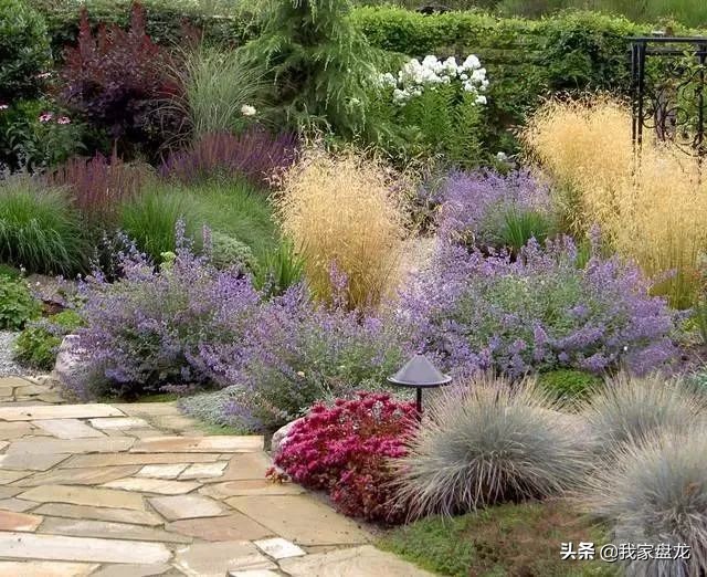 这种乱七八糟滴栽花方式,到底是不是园丁出了问题?