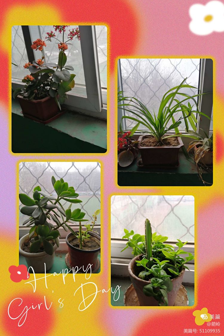 新课改的教育观内容,新学期新气象教育视频