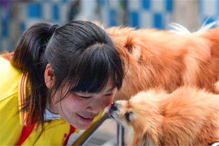 狗狗亲嘴是什么行为,狗狗亲吻你的嘴巴是什么意思