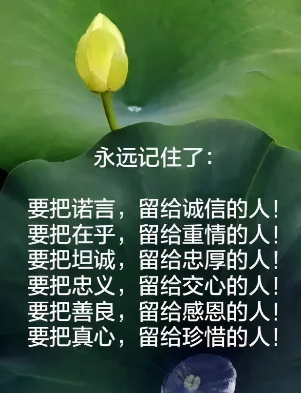 朋友圈早安表情包唯美,问好的表情包显得很高冷吗