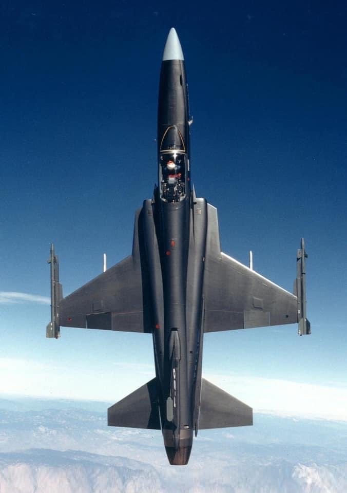 极富悲剧色彩的虎鲸,虎鲨悲剧