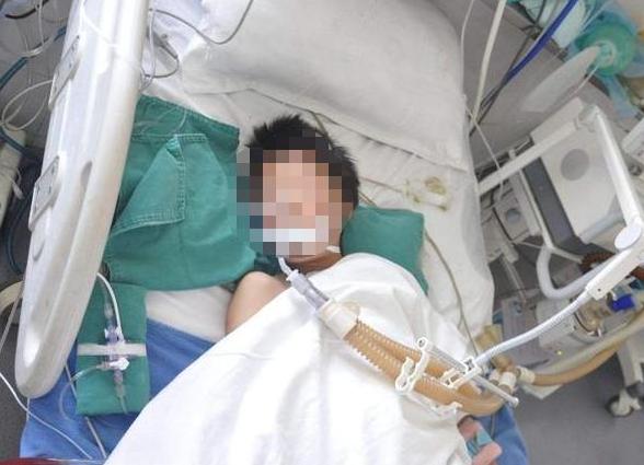 无良奶粉最新消息,无良奶粉骗局揭秘