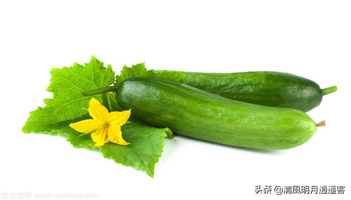 黄瓜的历史别称,瓜本