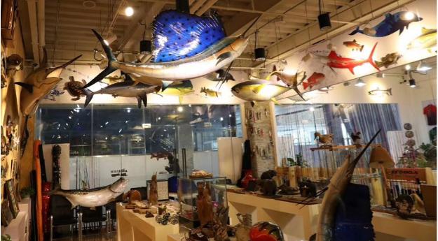 我知道钓鱼烧钱，但不知道我最后能烧掉北京两套房